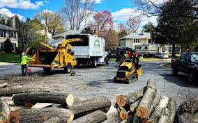 Best Leaf Removal  in Hudson, TX